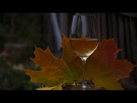 Видео: Домашнее вино за 16 дней ? Сколько реально времени нужно на приготовление вина