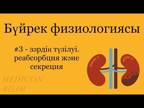 Видео: Зәрдің түзілу механизмі. Реабсорбция және секреция | Физиология курсқа тіркелу👇