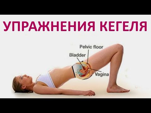 Видео: Упражнения Кегеля для Женщин. Как выполнять упражнения Кегеля в домашних условиях.
