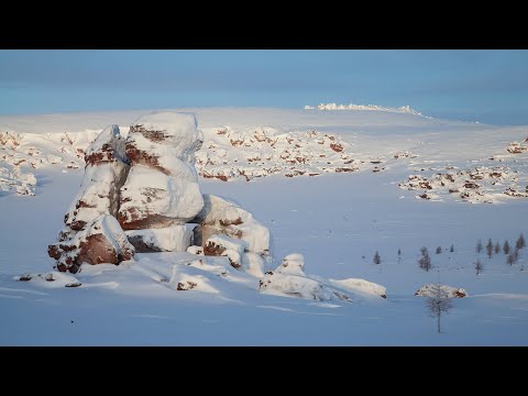 Видео: Анабарская галка (Anabar tick)