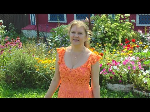 Видео: Делаем выкройки для создания цветов