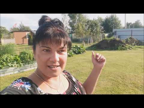 Видео: Влог/Дачный отпуск 7-10 августа/Встречаем Игорешку/Отдыхаем, наслаждаемся/