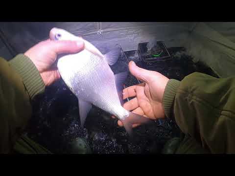 Видео: Печенежское вдхр. с. Хотомля (насосная) рыбалка с ночевкой.