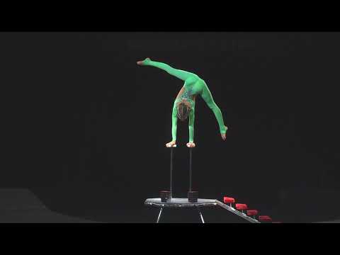 Видео: Процко Анастасия. Эквилибр на тростях.