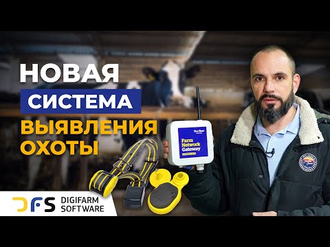 Видео: Обзор системы для выявления охоты и мониторинга здоровья коров Trutest active tag