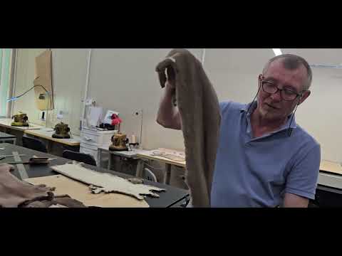 Видео: НОРКА ПАСТЭЛЬ РОСПУСК