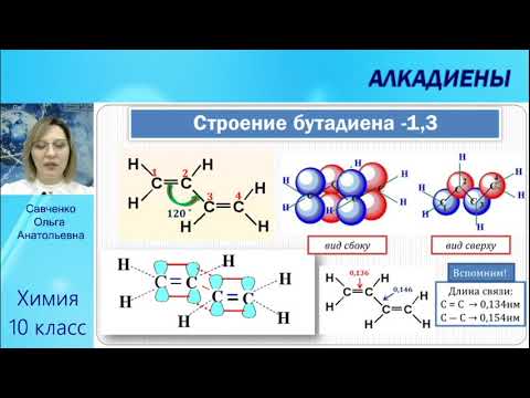 Видео: АЛКАДИЕНЫ