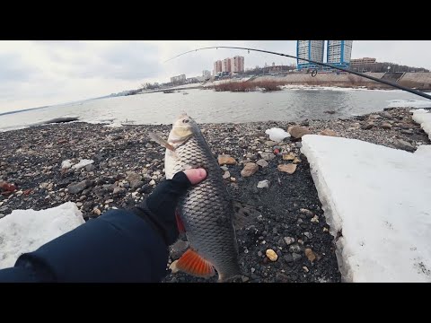 Видео: Голавль на джиг зимой. Рыбалка в центре города
