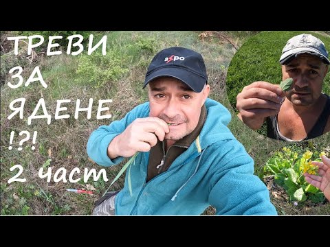 Видео: ОЩЕ ЯДЛИВИ РАСТЕНИЯ MORE EDIBLE PLANTS #foraging #nature #plants #herbs #билки #салата #гора