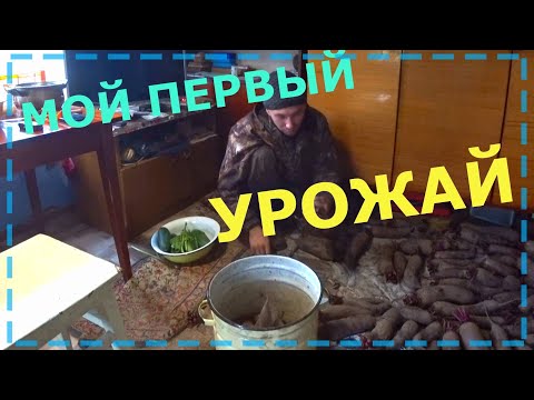 Видео: УРОЖАЙ ЧТО НАДО, ЗИМОЙ ЖИТЬ МОЖНО/ ОДИНЬ ДЕНЬ ИЗ ЖИЗНИ В ДЕРЕВНЕ!