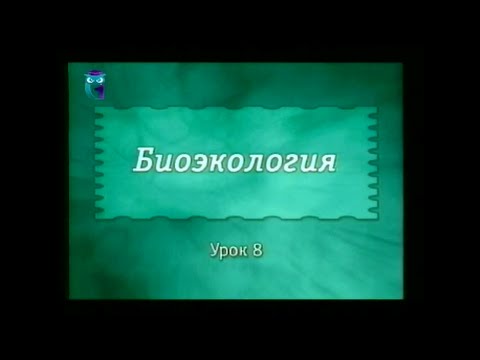 Видео: Экология. Урок 8. Биоценозы. Отношения в биоценозах