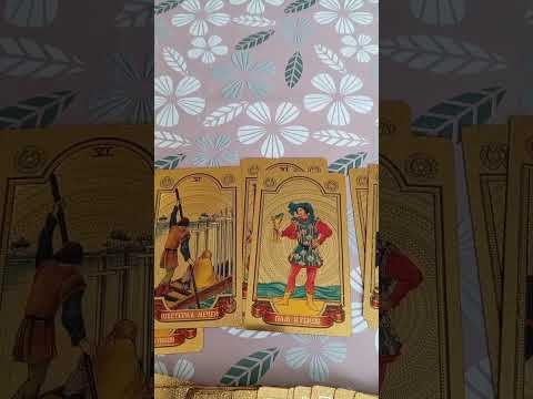 Видео: Высшие вам передают🕊️важное сообщение💌