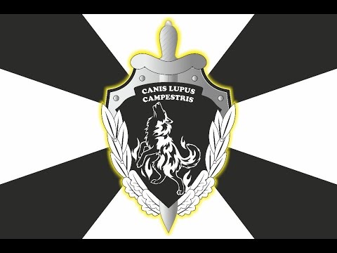 Видео: Жесты, СК "Степные волки"