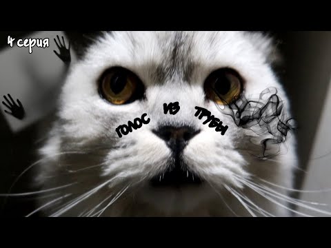 Видео: КОШАЧЬЯ ИСТОРИЯ УЖАСОВ 4 СЕРИЯ | ГОЛОС ИЗ ТРУБЫ