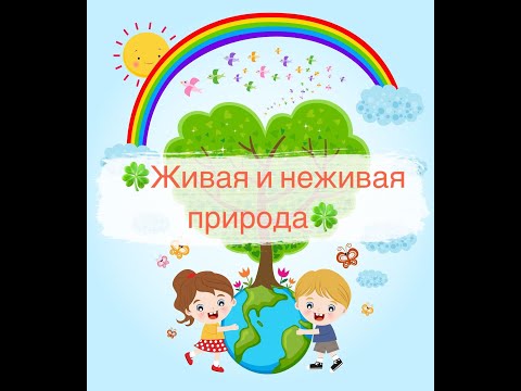 Видео: Живая и неживая природа