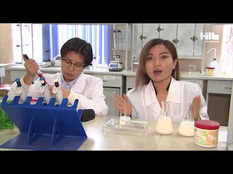 Видео: Қазақстан ғалымдары түйе мен бие сүтін қатерлі ісік ауруын емдеуге қолданбақ