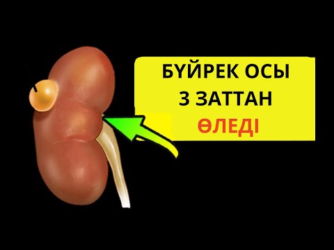 Видео: БҮЙРЕКТІ ӨЛТІРЕТІН ТОП 3 зат. Бүйрек ауруы