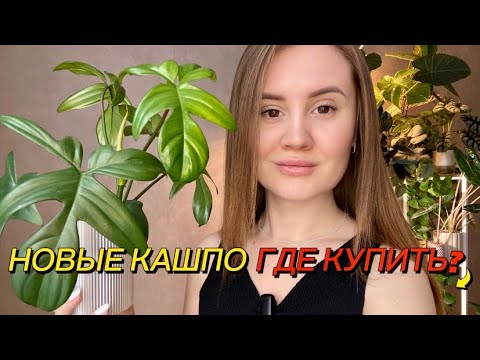 Видео: Обзор новых кашпо и горшков для растений, распаковка