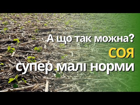 Видео: Соя та кукурудза на 50 см | Захист від бур'янів та норми висіву