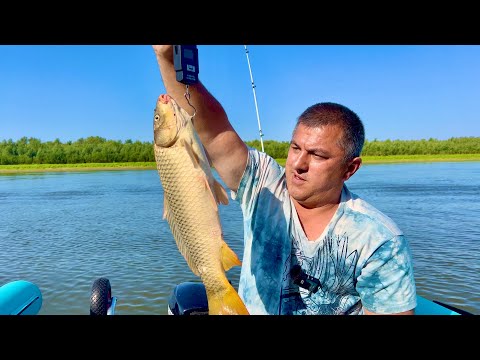 Видео: Жарим РЫБУ на Огромной Сковороде на Ужин. Это был безумный день 🤣👍