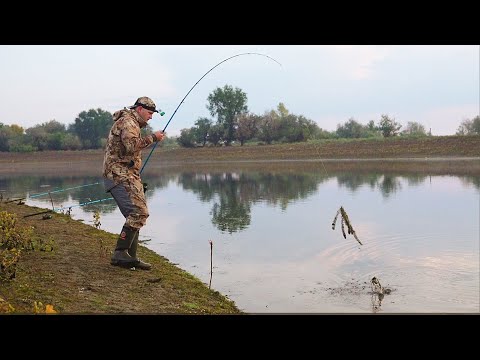 Видео: РЫБАЛКА С НОЧЁВКОЙ. ЗАКОРМИЛИ 8 ЛОДОК КУКУРУЗЫ и вот что вышло. САМАЯ ТИХАЯ РЕКА. ГРОЗА и УХА