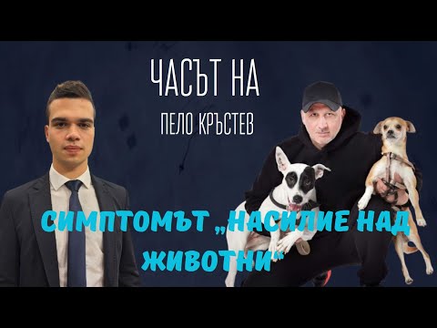 Видео: Янчев: Мъж прегази куче умишлено - искаме строги наказания. Борисов и Пеевски да повдигнат темата.