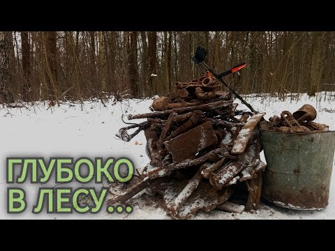 Видео: Максимальное погружение в дебри Брянского леса. Коп металла