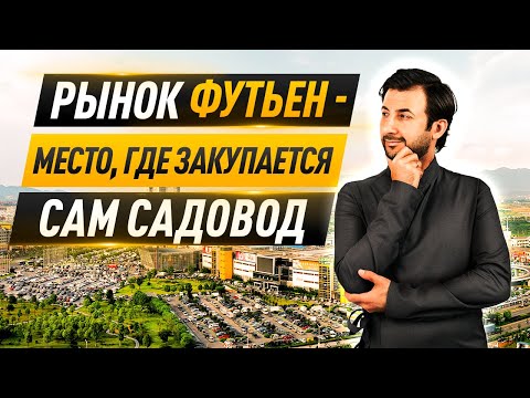 Видео: Как увеличить продажи за счет партнерства с Китаем?