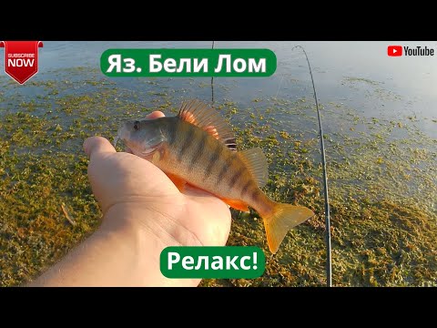 Видео: Следработен релакс на яз. Бели Лом