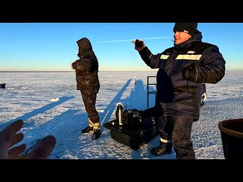 Видео: ЭТО КАЙФ А НЕ РЫБАЛКА!!! Ловля плотвы зимой в глухозимье  Зимняя рыбалка 2024