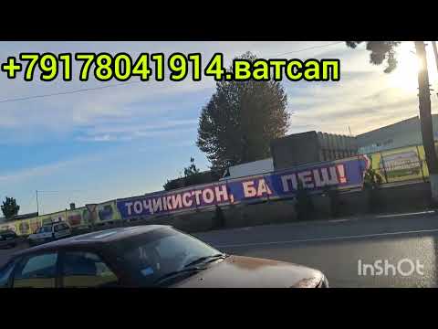 Видео: 4 декабря 2024 г.