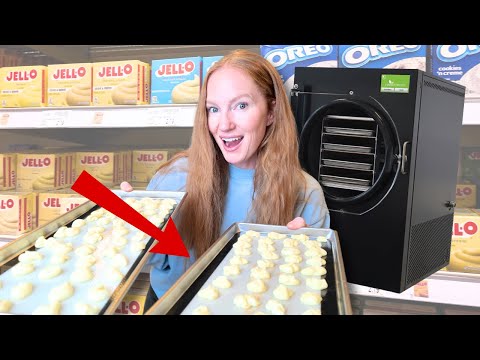 Видео: Я НАКОНЕЦ-ТО попробовала вирусный сублимированный десерт... Стоит ли оно того?