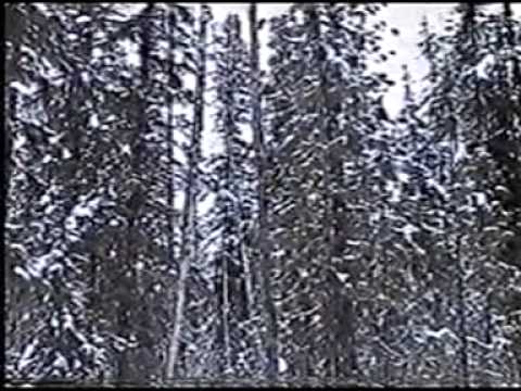 Видео: промысел 2001 2002