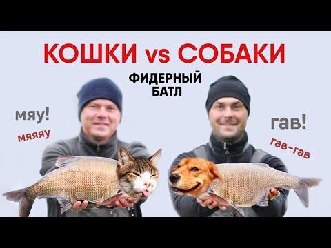 Видео: КОШКИ ПРОТИВ СОБАК! Бой кошачьего и собачьего корма за рыбьи сердца! ФИДЕРНЫЙ БАТЛ №3, Сезон 2021-22