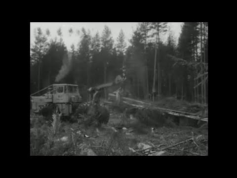 Видео: 1985год.Экономия топливно-энергетических ресурсов.