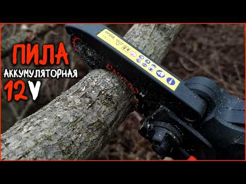 Видео: Пила цепная, аккумуляторная DniproM,  обзор и тест.