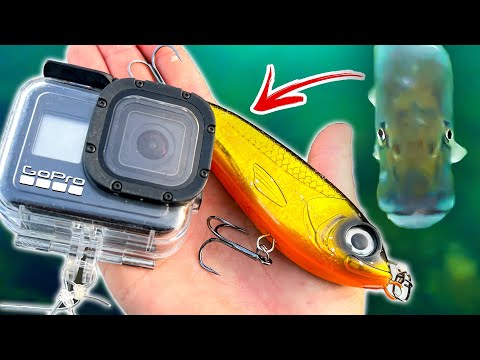 Видео: Редкие Кадры Щучьих Атак В Прозрачной Воде | Team Galant