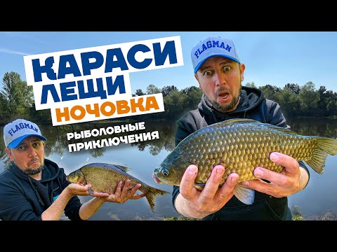 Видео: 😱 Клюют СИЛЬНЫЕ Караси и Лещи на Обводном канале. Рыбалка на фидер с Ночевкой!