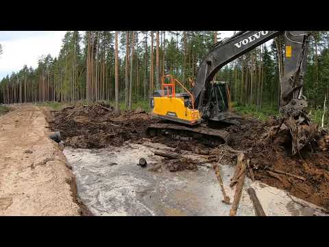 Видео: Кадры с лесных работ — Часть 5