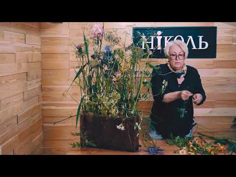 Видео: Выпуск - 6. Школа Флористов-Дизайнеров "Николь"