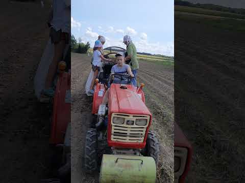 Видео: Самодельный картофельный комбайн на базе копалки Краковяк