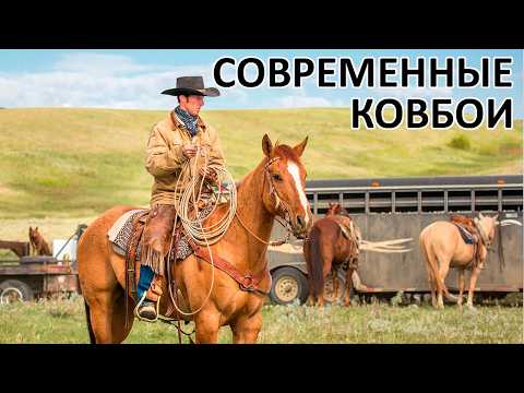 Видео: Как живут ковбои сегодня?