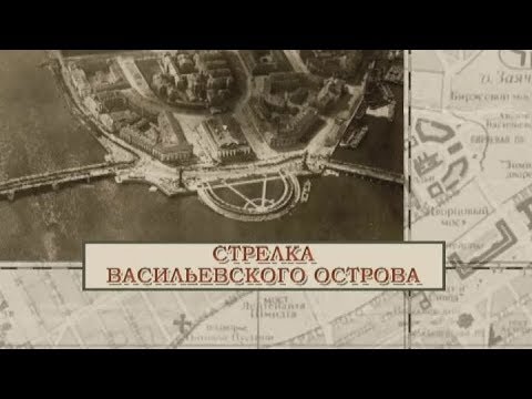 Видео: Стрелка Васильевского острова / «Малые родины большого Петербурга»