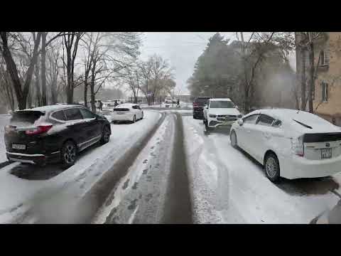 Видео: Второй снег. Обеденный променад