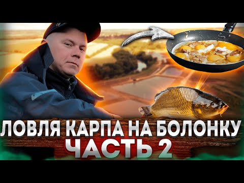 Видео: Секреты улова карпа на поплавок: Мастерство на платных водоемах! Болонская ловля! 2 Часть