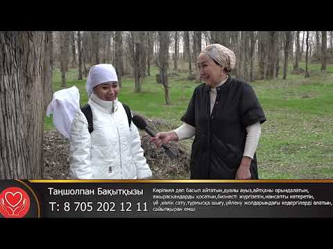 Видео: Көріпкел дөп басып айтатын,дуалы ауыз,ажырасқандарды қосатын,мансапты көтеретінТ:8 705 202 12 11