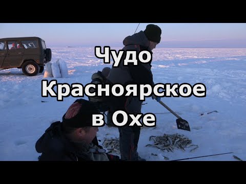 Видео: Чудо Красноярское в Охе, что на севере Сахалина