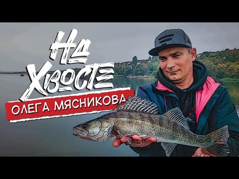 Видео: НА ХВОСТЕ Олега Мясникова. Ловля судака джигом на Муромском водохранилище.