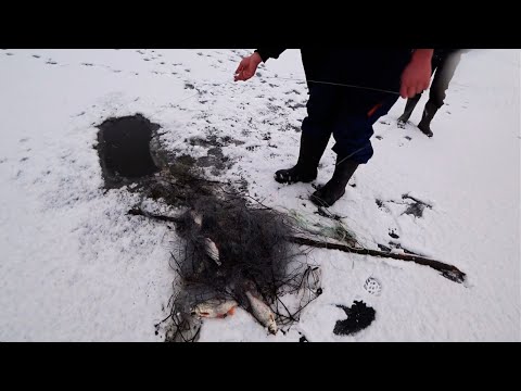 Видео: БРАКОНЬЄРИ!!! ДІСТАЛИ СІТКУ ПОВНУ РИБИ! ЗИМОВА РИБАЛКА в с.КОРЧІВ! ЛОВЛЯ на ЖЕРЛИЦІ!