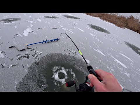Видео: ОПАСНЫЙ и РЫБНЫЙ ПЕРВЫЙ ЛЁД на РЕКЕ! Выставил жерлицы на ЩУЧЬЮ ТРОПУ и ОФИГЕЛ ОТ ПРОИСХОДЯЩЕГО!